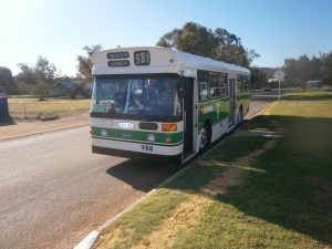 Bus